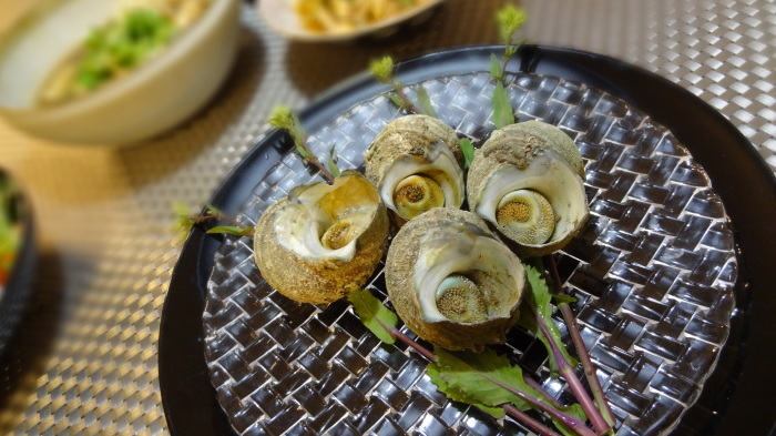 サザエのつぼ焼き 卵とじのコツで す ちょこ家の日々 サザエのつぼ焼き 卵とじのコツで す ちょこ家の日々