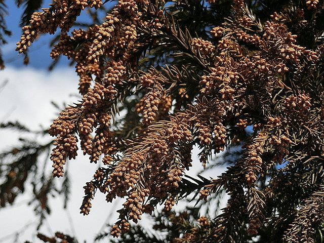 e0234924_155262.jpg