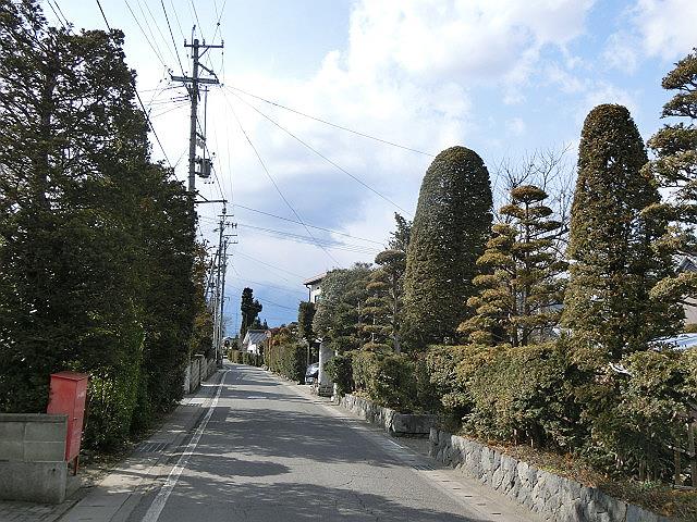 e0234924_1554206.jpg