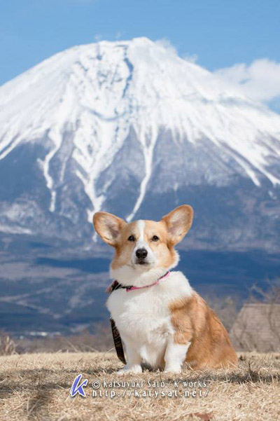 青空に映える富士山での撮影会♪_e0071225_015623.jpg