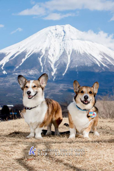 青空に映える富士山での撮影会♪_e0071225_032731.jpg