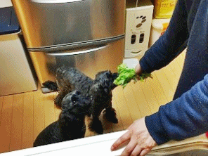 f0326925_23094157.gif