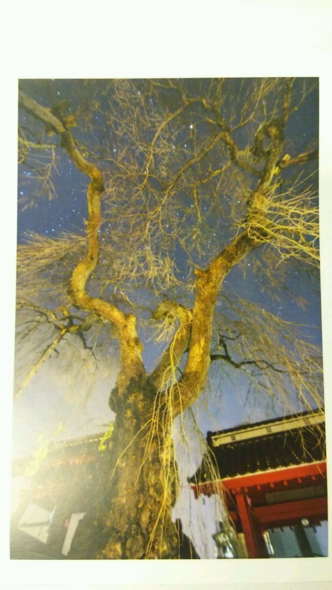 風景と天文写真の融合!_c0213830_13125854.jpg