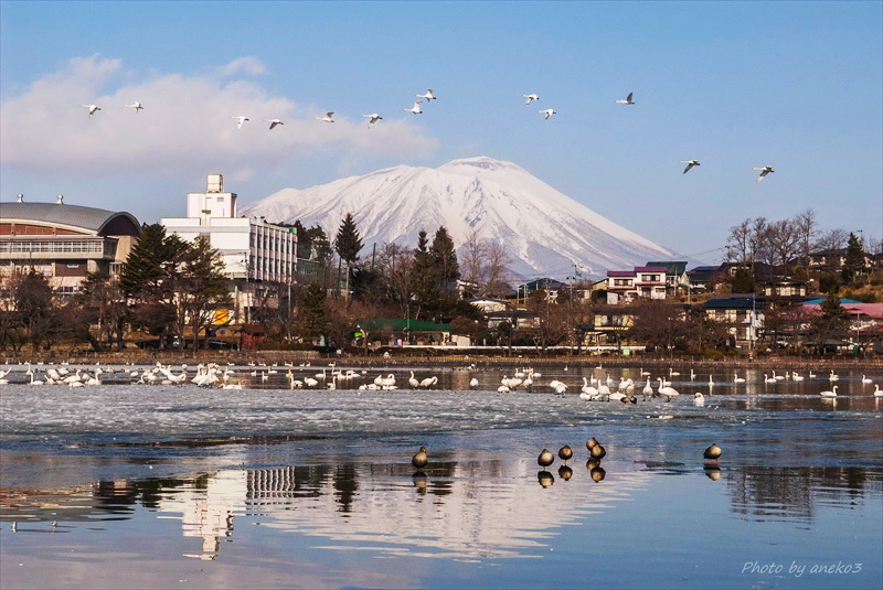 みちのく高松の池の今_d0067934_939288.jpg