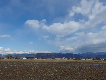 ２月最後の金曜日_a0014840_22442815.jpg