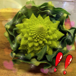 a0135840_11273258.jpg