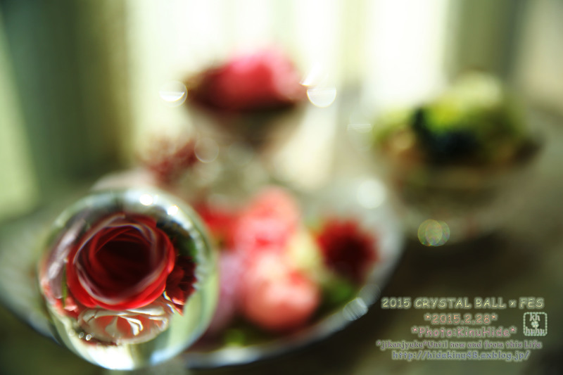 ....... 春恋し　　＜　2015 Crystal ball ×　Fes　＞_e0151944_23042103.jpg