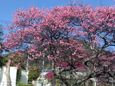 b0147856_10462085.jpg