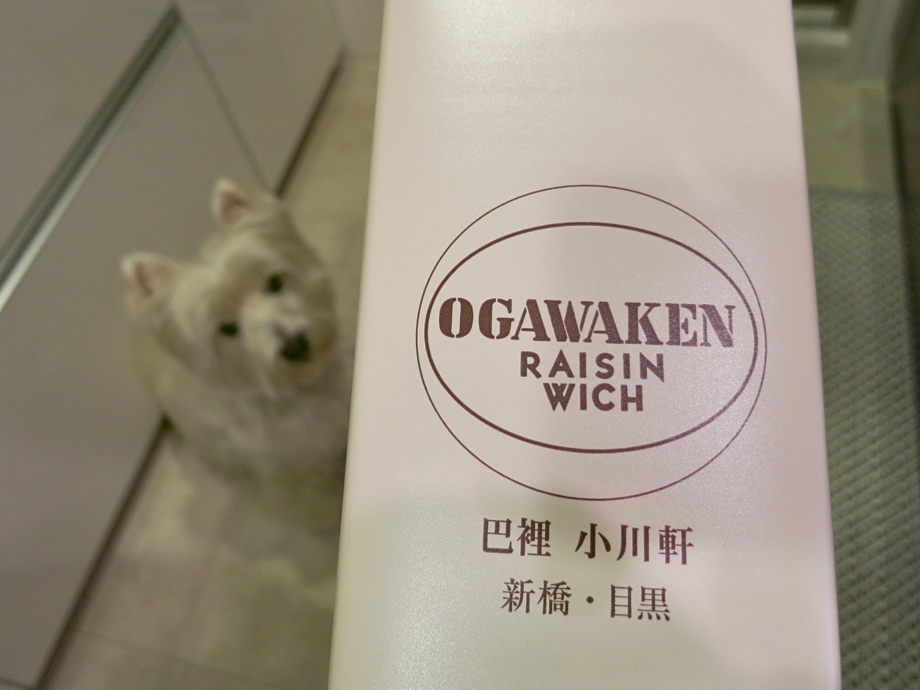 「小川軒のレーズンウィッチ」_c0260460_14345501.jpg