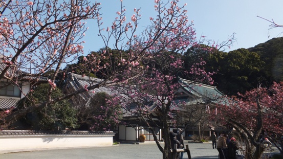 b0214473_20203195.jpg