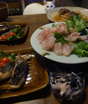 素焼きの窯の中へ_d0195183_155361.jpg