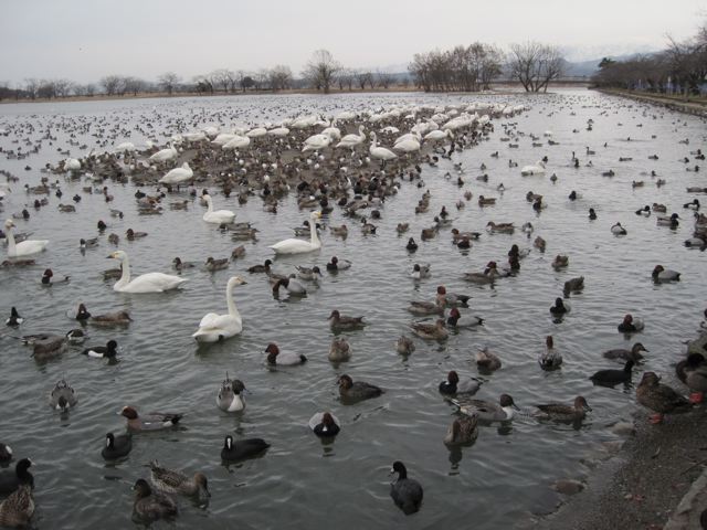 f0016892_11766.jpg