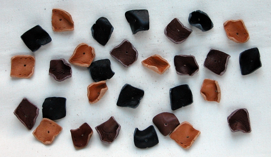 c0168096_735753.jpg