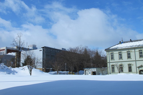 猛吹雪の翌朝の青空、米沢キャンパス風景・・・１）　２月２８日_c0075701_10114456.jpg