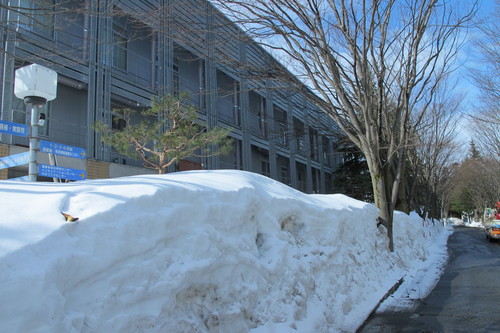 猛吹雪の翌朝の青空、米沢キャンパス風景・・・２）　２月２８日_c0075701_10203385.jpg