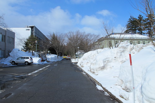 猛吹雪の翌朝の青空、米沢キャンパス風景・・・４）　２月２８日_c0075701_10363728.jpg