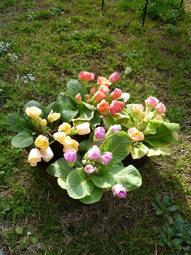 e0234004_1742934.jpg