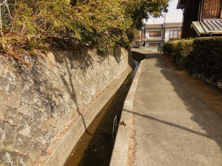 こうすけの 上ヶ原早春賦_b0305811_15423606.jpg