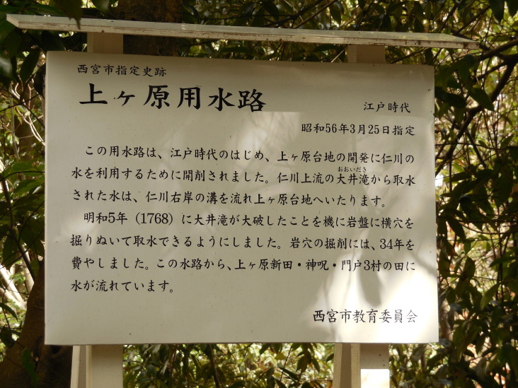 こうすけの 上ヶ原早春賦_b0305811_16072127.jpg