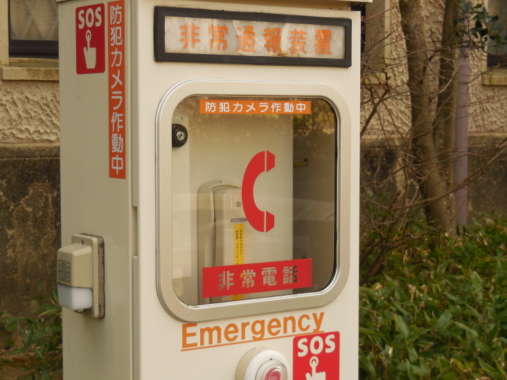 こうすけの 上ヶ原早春賦_b0305811_16445490.jpg