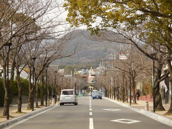 こうすけの 上ヶ原早春賦_b0305811_17095582.jpg