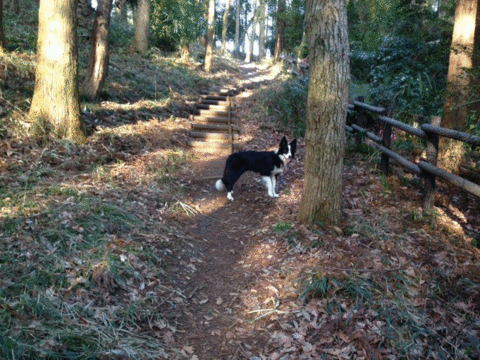 a0232619_17503916.gif