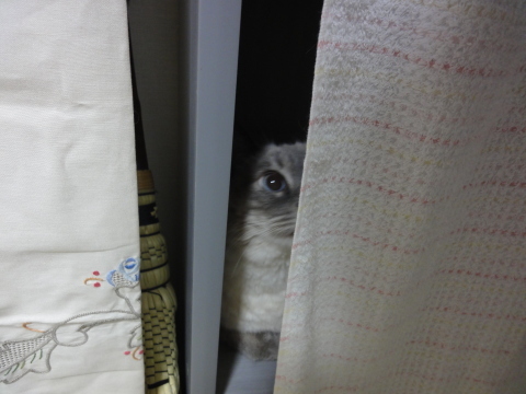 たまには非日常をとりいれる_c0006826_18045914.jpg