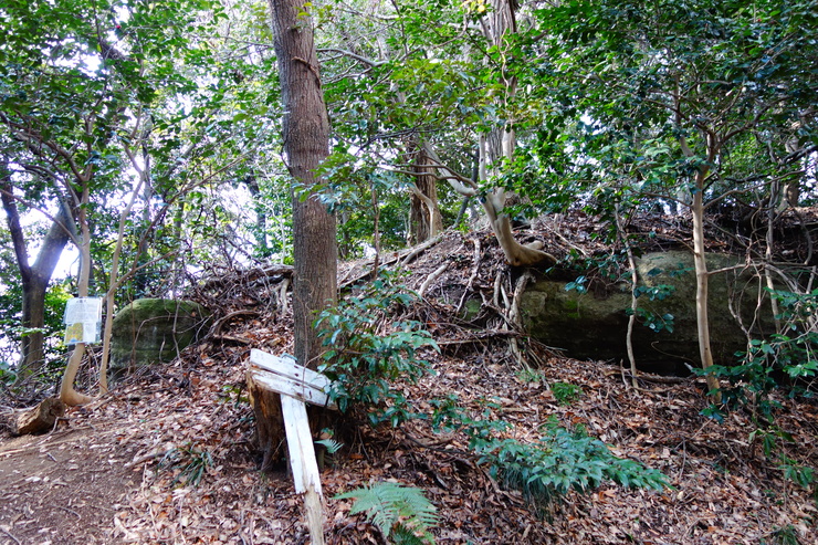 a0287336_23371566.jpg