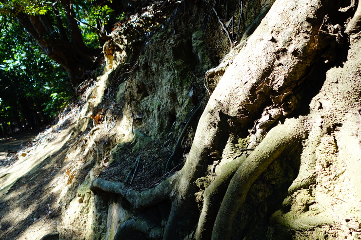 a0287336_23415580.jpg
