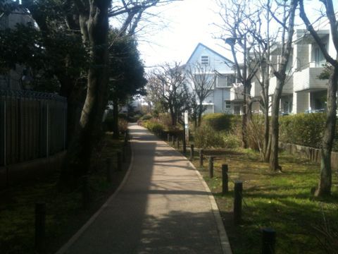 烏山川緑道 希望ヶ丘公園 世田谷区 2月28日 猫好き写真館