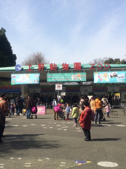 上野動物園に行ってみた。_f0342450_14432156.jpg