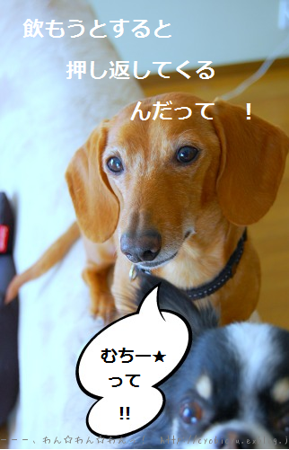 b0112758_22274531.png