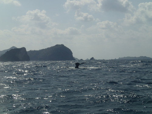 f0035460_19122203.jpg