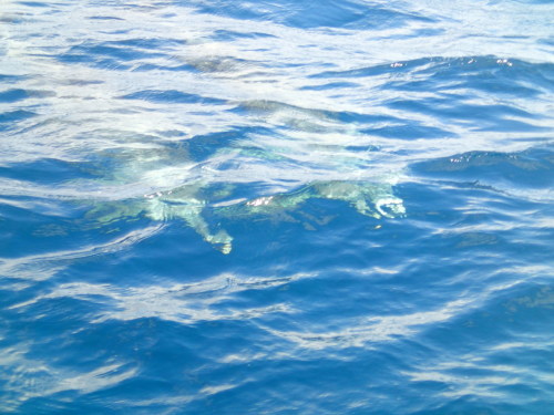 f0035460_19123398.jpg