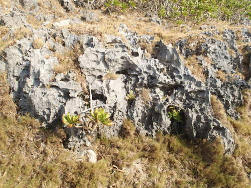 f0035460_19151429.jpg