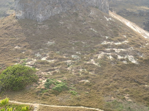 f0035460_19153440.jpg