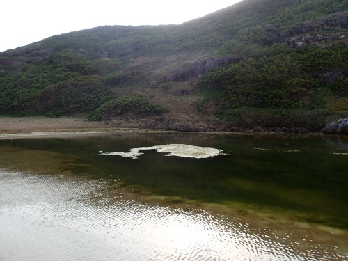 f0035460_19162291.jpg