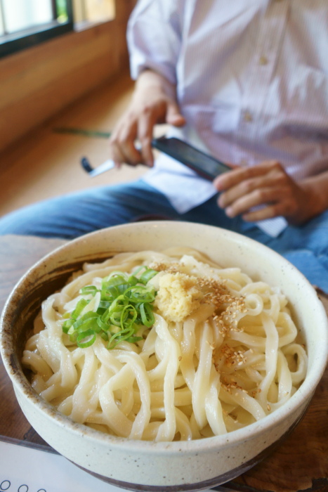 手打ちうどん とがの藤家_a0077663_13381386.jpg