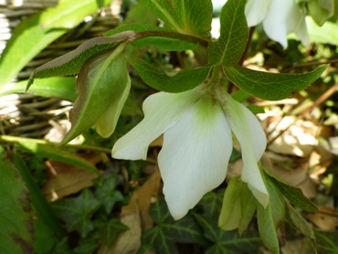 c0040472_1173487.jpg