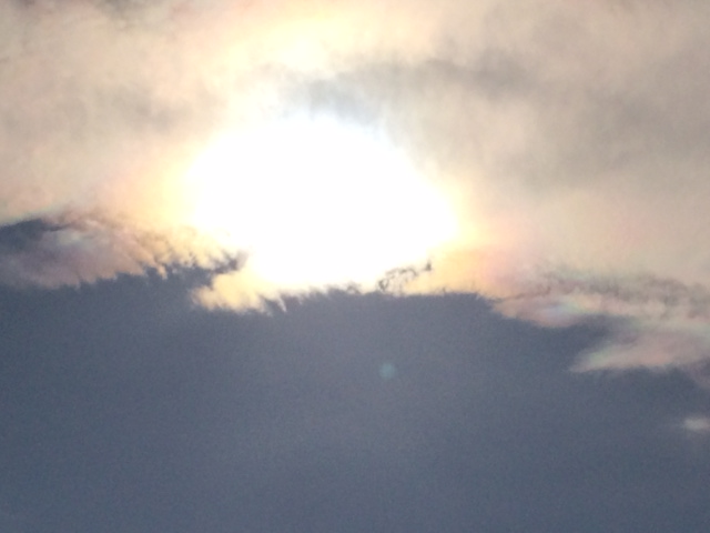 b0161073_1524940.jpg