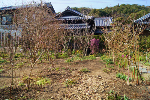 e0181373_2145524.jpg