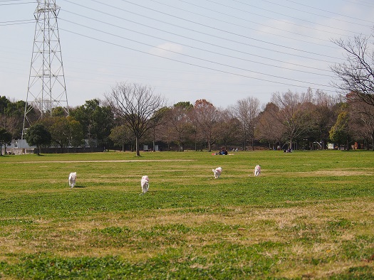 一緒に芽吹こう。_b0302075_2104989.jpg