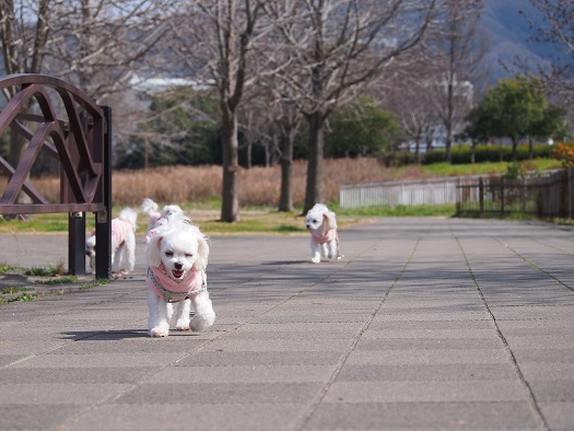 一緒に芽吹こう。_b0302075_2185075.jpg