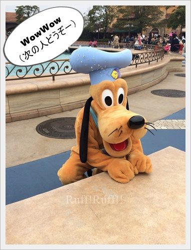 プルートのサイン会？！ : Ruff！Ruff！！ -Pluto☆Love-