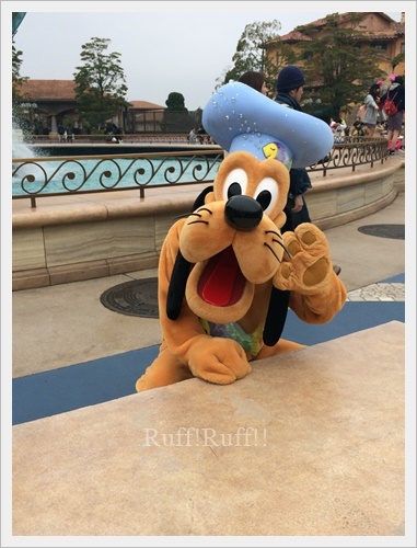 プルートのサイン会?! : Ruff!Ruff!! -Pluto☆Love- プルートのサイン会?! : Ruff!Ruff!! -Pluto☆Love-