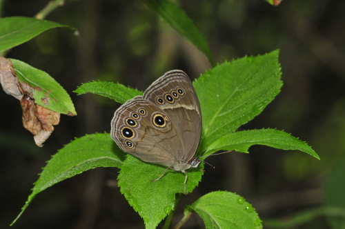 f0348480_19350830.jpg
