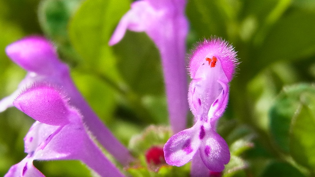 f0346184_21175081.jpg