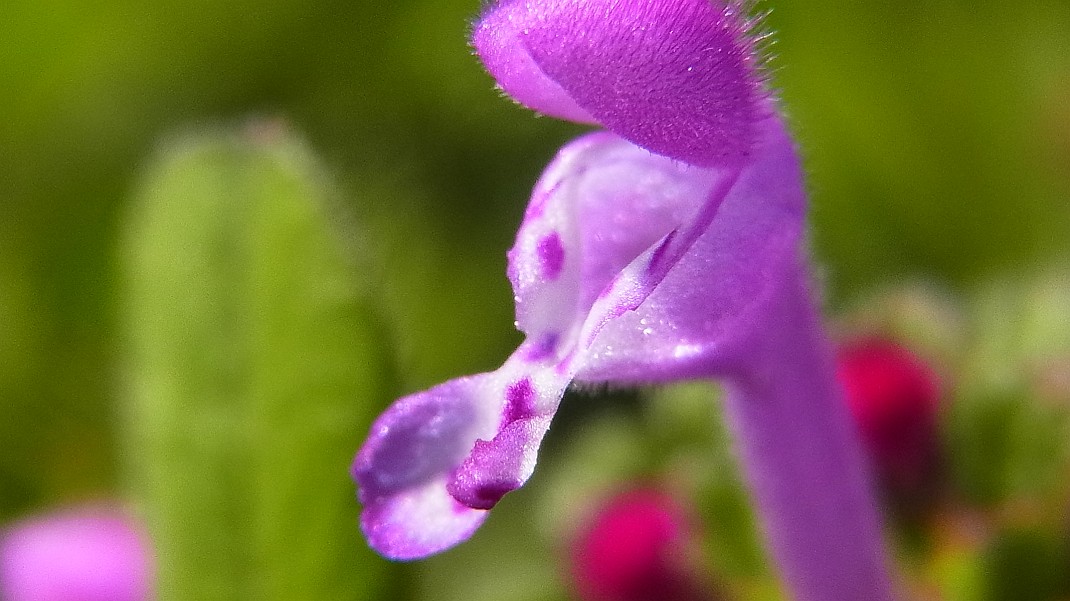 f0346184_2118789.jpg