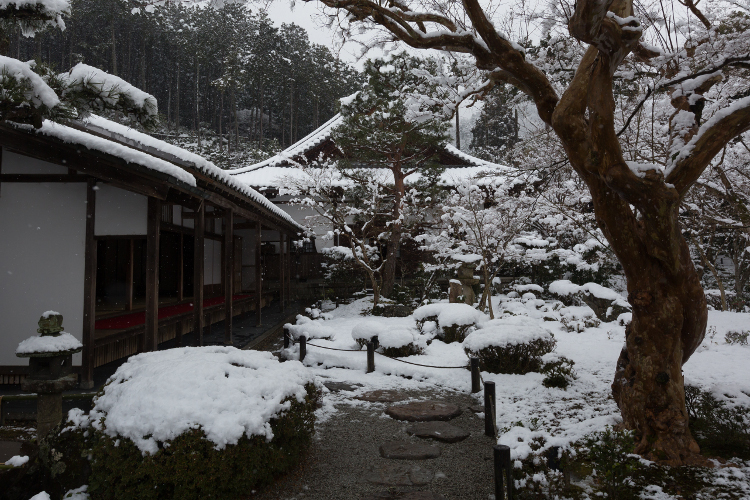 圓光寺_e0051888_4431284.jpg