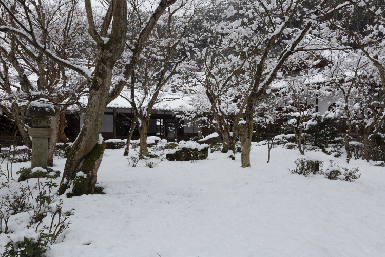 圓光寺_e0051888_4442013.jpg